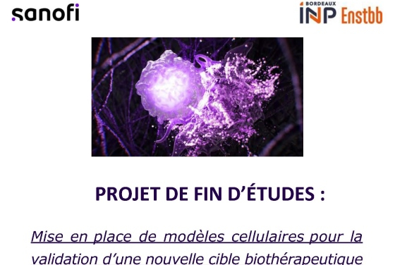Page de couverture rapport PFE 2024