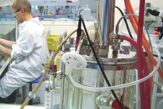 ENSTBB_formations_continues_certifiantes_biotechnologies ENSTBB_formations_continues_certifiantes_biotechnologies