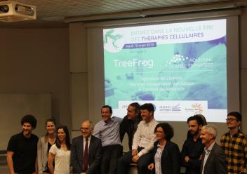 Licence Treefrog Equipe + partenaires