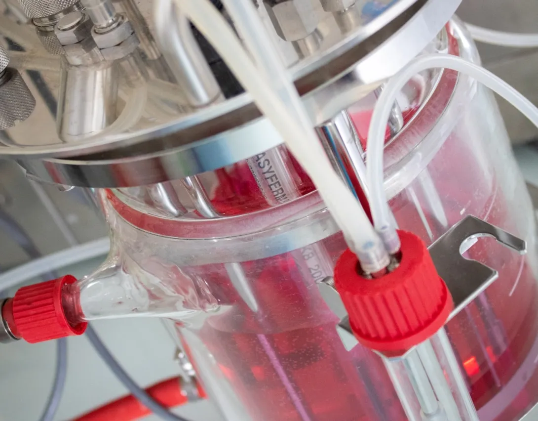 ENSTBB_BioTC NA_Développement d'un procédé de bioproduction