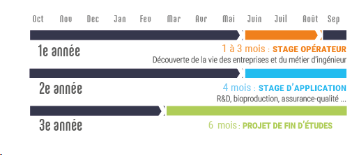 calendrier_des_stages.png