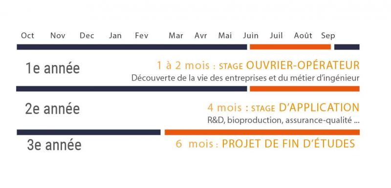 calendrier_stages.jpg
