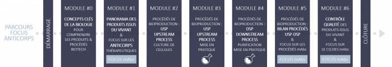 enstbb_formation_continue_parcours_bioproduction_anticorps_2025.png