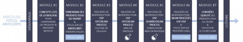 enstbb_formation_continue_parcours_bioproduction_anticorps_2025.png