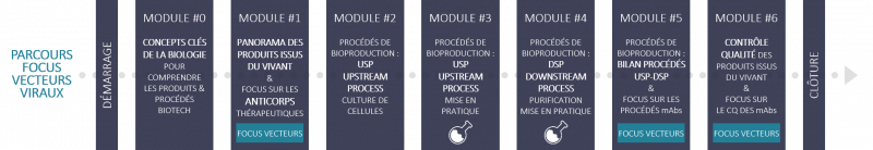 enstbb_formation_continue_parcours_bioproduction_vecteurs_viraux_2025.png